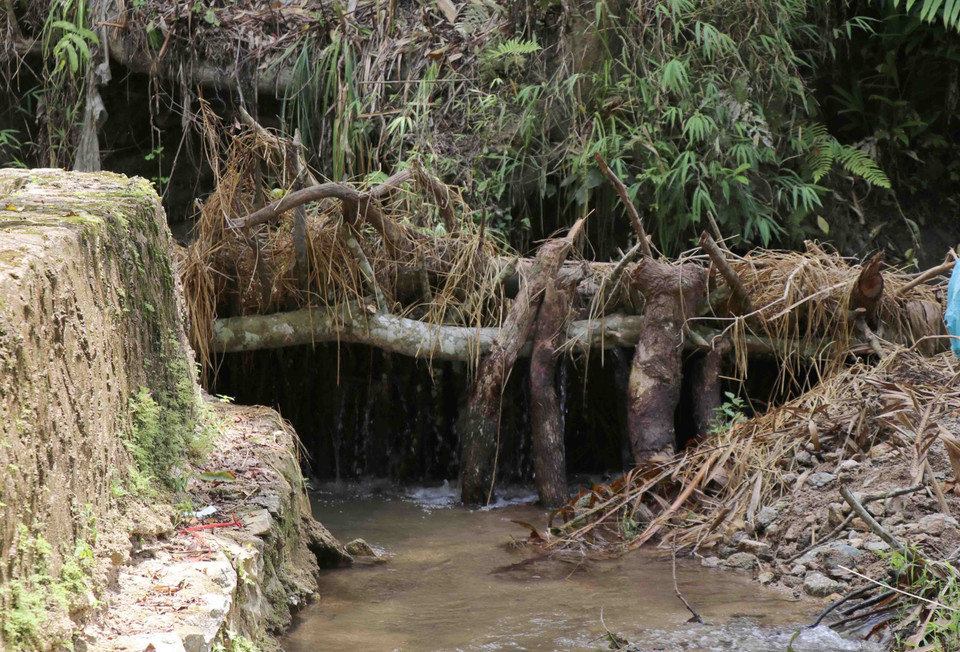 Để làm giảm sức chảy của con suối nhằm hạn chế tối đa sự xói mòn gây nên, Ban quản lý di tích đã đóng cọc, tạo rào chắn phía trên con suối. (Ảnh: Xuân Tiến/TTXVN)