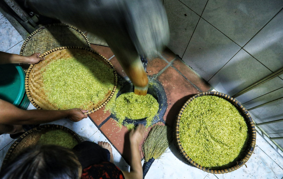 Khi tuốt xong, những hạt lúa được cho lên chảo rang to lửa, đảo đều bằng tay để lúa không cháy, đến độ hạt thóc bắt nhiệt chuyển dạng đông sữa quằn lại là được. Có máy gắn động cơ để đảo cốm nhưng người trông bếp vẫn thường xuyên phải để ý đến bếp lò và điều chỉnh nhiệt độ bếp sao cho lửa đều và không được để nhiệt độ quá cao khi mẻ rang sắp được và phải dùng củi để rang. (Ảnh: Thành Đạt/TTXVN)