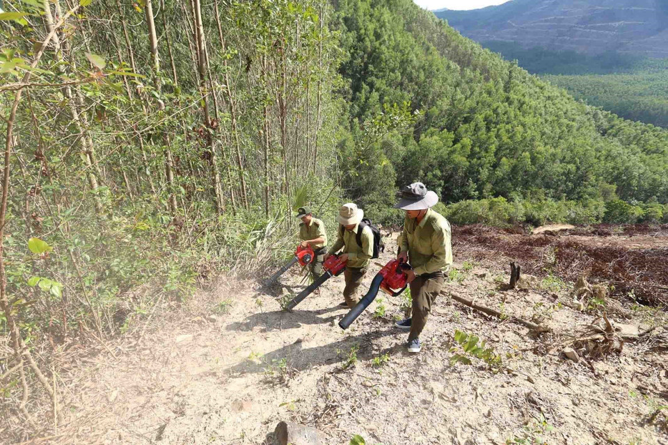 Ngành Kiểm lâm tỉnh Bình Định thường xuyên duy trì công tác tuần tra, kiểm tra, kiểm soát chặt chẽ người ra vào rừng ở những khu vực có nguy cơ cháy rừng cao, ứng trực 24/24 giờ để kịp thời phát hiện, xử lý và tổ chức chữa cháy, hạn chế thấp nhất tình trạng cháy rừng có thể xảy ra. (Ảnh: Vũ Sinh/TTXVN)