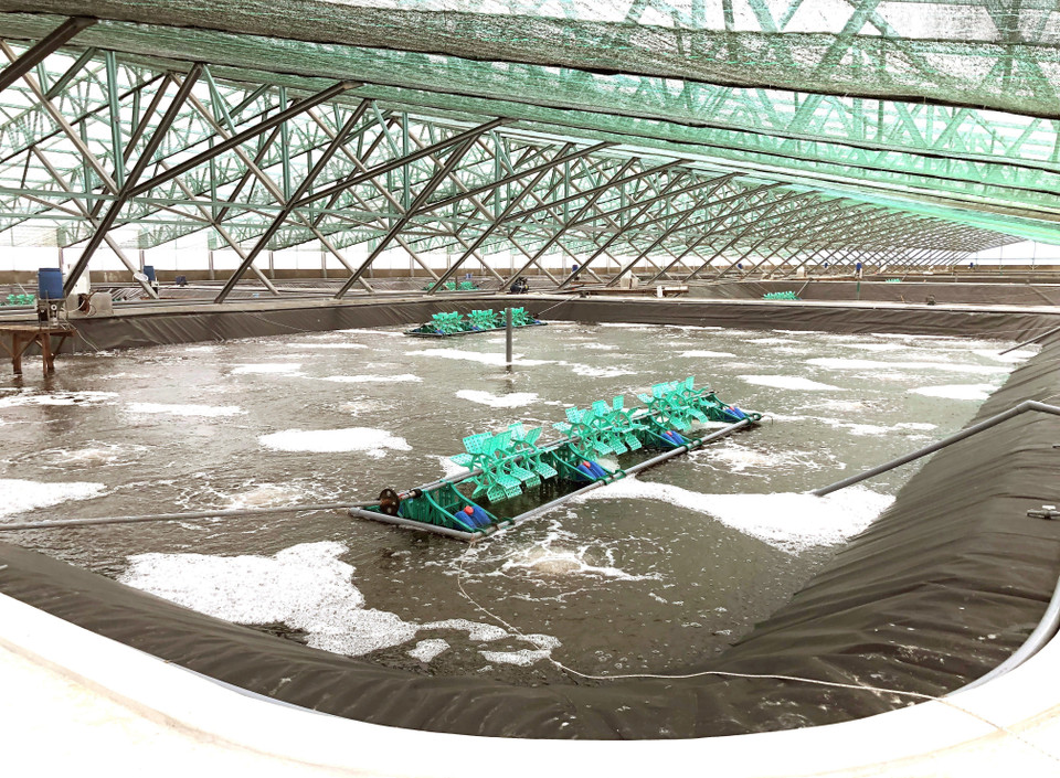 Khu phức hợp sản xuất, tôm công nghệ cao của Tập đoàn Việt - Úc tại xã Mỹ Thành, huyện Phù Mỹ, tỉnh Bình Định. (Ảnh: Nguyên Linh/TTXVN)