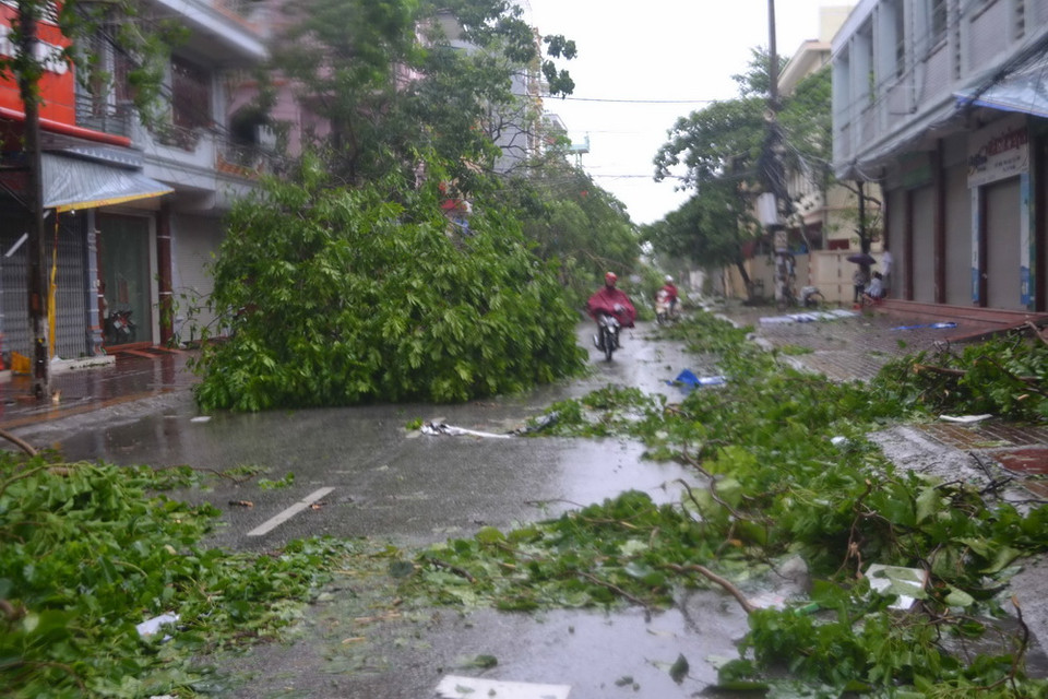 Tuyến đường Trần Hưng Đạo, Tp. Thái Bình ngổn ngang do cây đổ. (Ảnh: Thu Hoài/TTXVN)