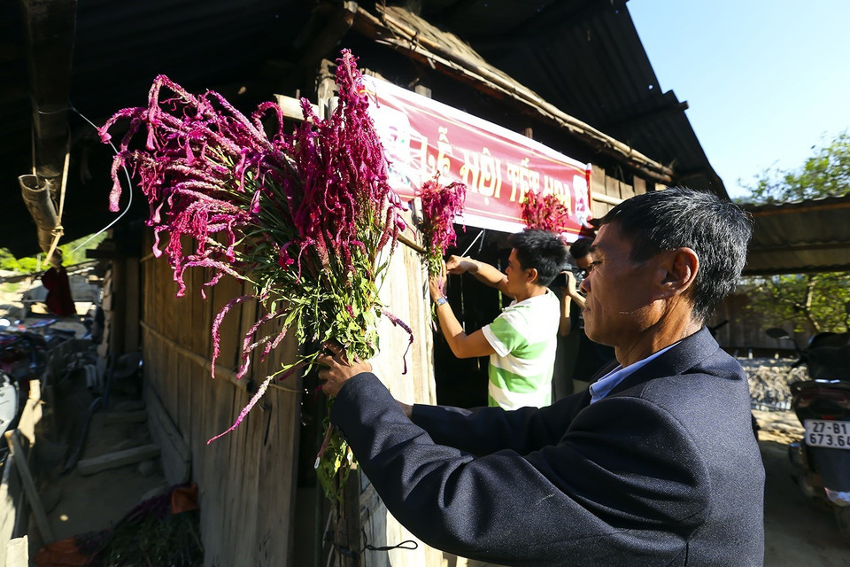 Hoa Mào gà được cắm ngay trước cửa nhà trong ngày tết. (Ảnh: Phan Tuấn Anh/TTXVN)