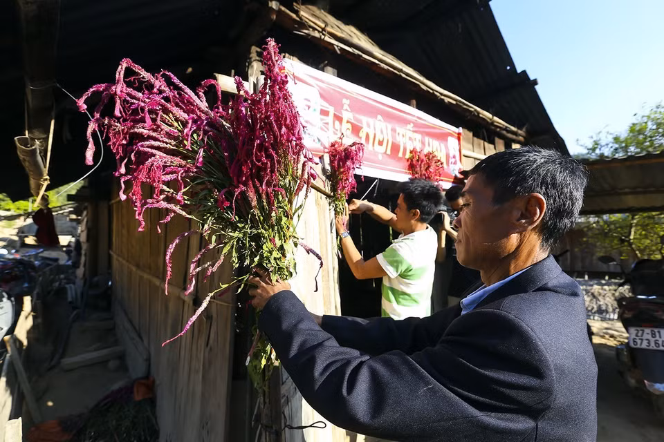 Hoa Mào gà được cắm ngay trước cửa nhà trong ngày tết. (Ảnh: Phan Tuấn Anh/TTXVN)