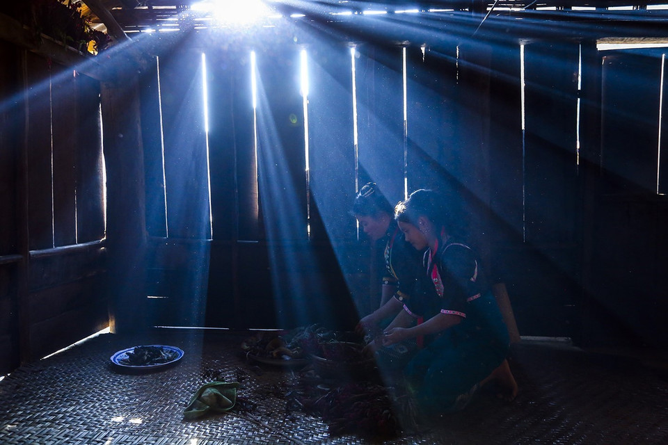 Tết hoa mào gà là nghi lễ lớn, độc đáo nhất và được xem là Tết cổ truyền trong năm của đồng bào dân tộc Cống ở Điện Biên. (Ảnh: Phan Tuấn Anh/TTXVN)