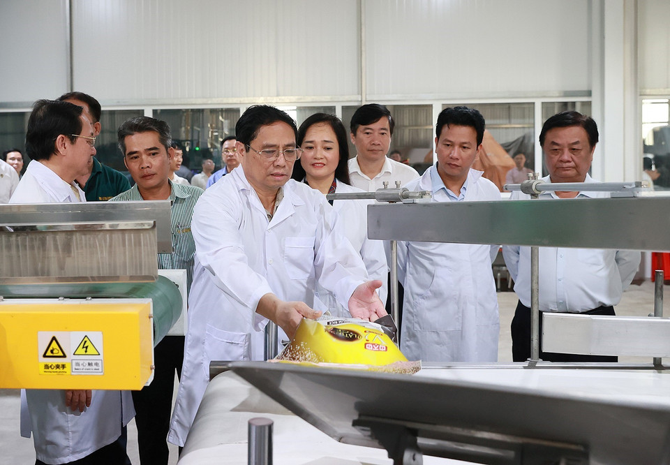Thủ tướng Phạm Minh Chính thăm Nhà máy Chế biến Gạo của Công ty Trách nhiệm hữu hạn Lúa, Gạo Việt Nam. (Ảnh: Dương Giang/TTXVN)