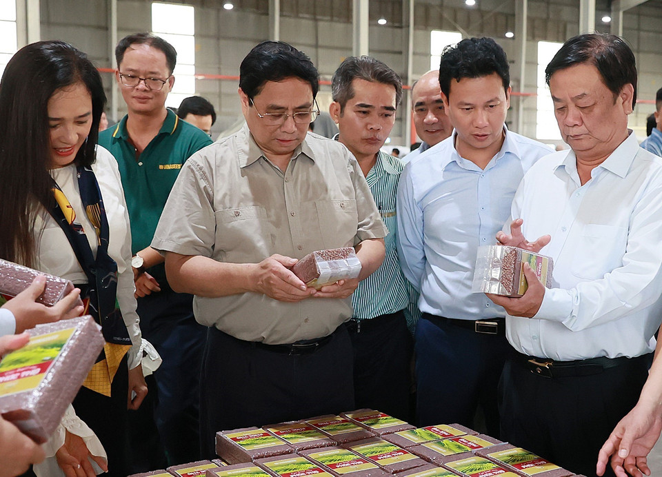 Hình ảnh Thủ tướng Phạm Minh Chính xem sản phẩm gạo xuất khẩu của Nhà máy Chế biến Gạo của Công ty Trách nhiệm hữu hạn Lúa, Gạo Việt Nam. (Ảnh: Dương Giang/TTXVN)