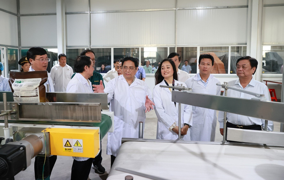 Thủ tướng Phạm Minh Chính thăm Nhà máy Chế biến Gạo của Công ty Trách nhiệm hữu hạn Lúa, Gạo Việt Nam. (Ảnh: Dương Giang/TTXVN)