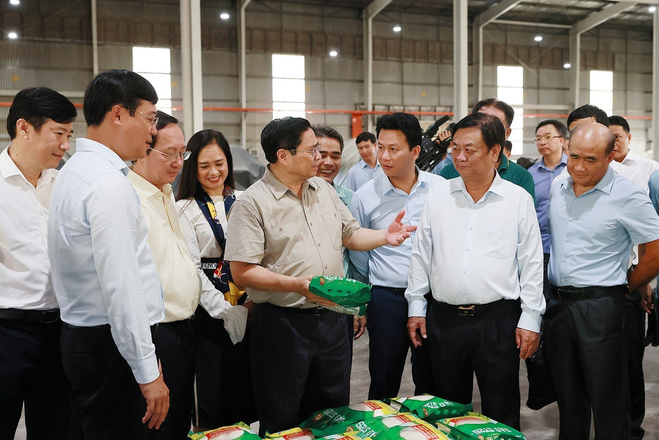 Thủ tướng Phạm Minh Chính xem sản phẩm gạo xuất khẩu của Nhà máy Chế biến Gạo của Công ty Trách nhiệm hữu hạn Lúa, Gạo Việt Nam. (Ảnh: Dương Giang/TTXVN)