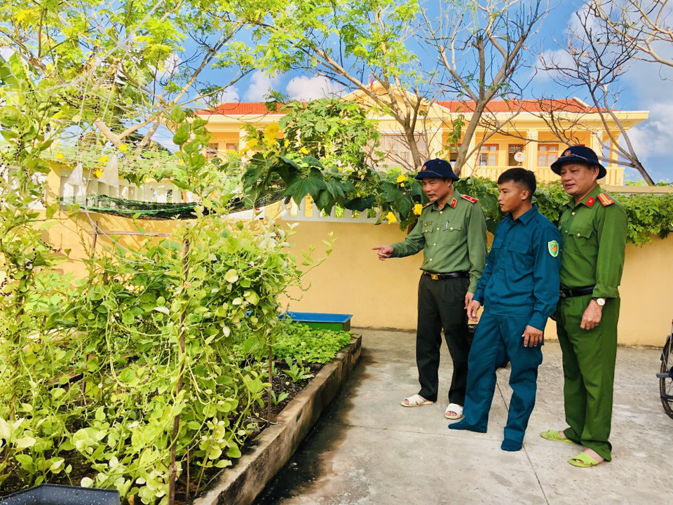 Các hộ dân trên đảo Đá Tây A trồng nhiều loại rau trong vườn nhà tự đảm bảo nhu cầu rau xanh. (Ảnh: Tuyết Mai/TTXVN)