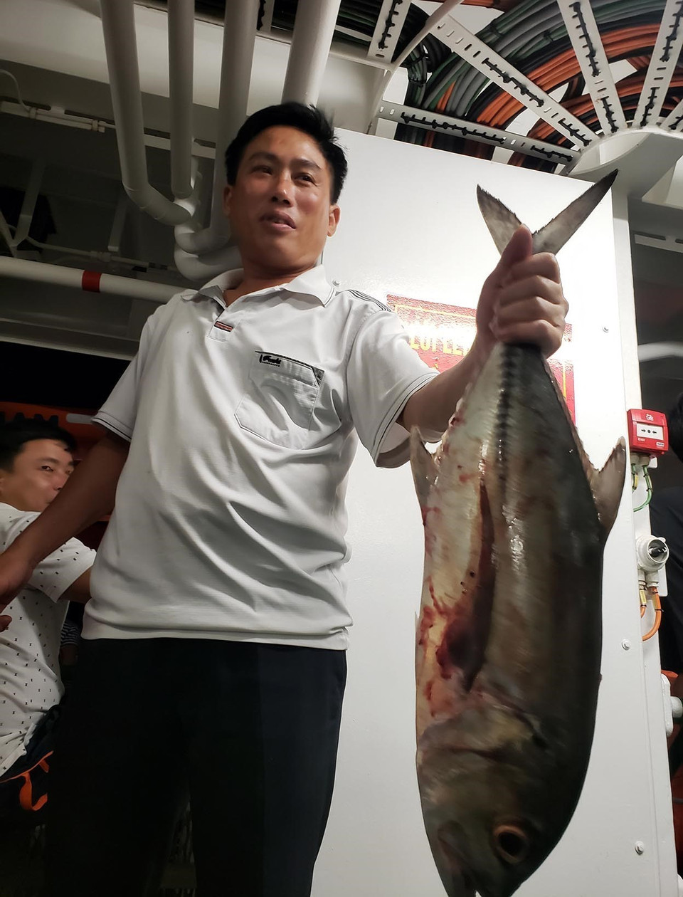 Thành quả của buổi câu đêm là một chú cá thu bè lớn. (Ảnh: Hoàng Hùng/TTXVN)