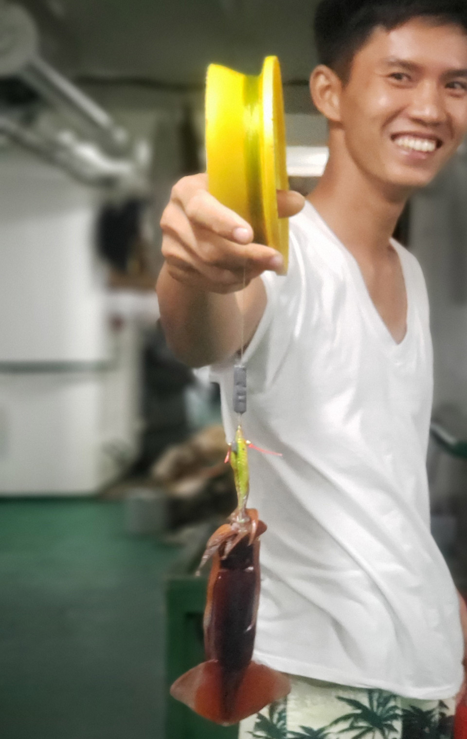 Cá mực ma. Chính con mực này sẽ trở thành mồi câu còn sống để nhử cá lớn đại dương. (Ảnh: Hoàng Hùng/TTXVN)