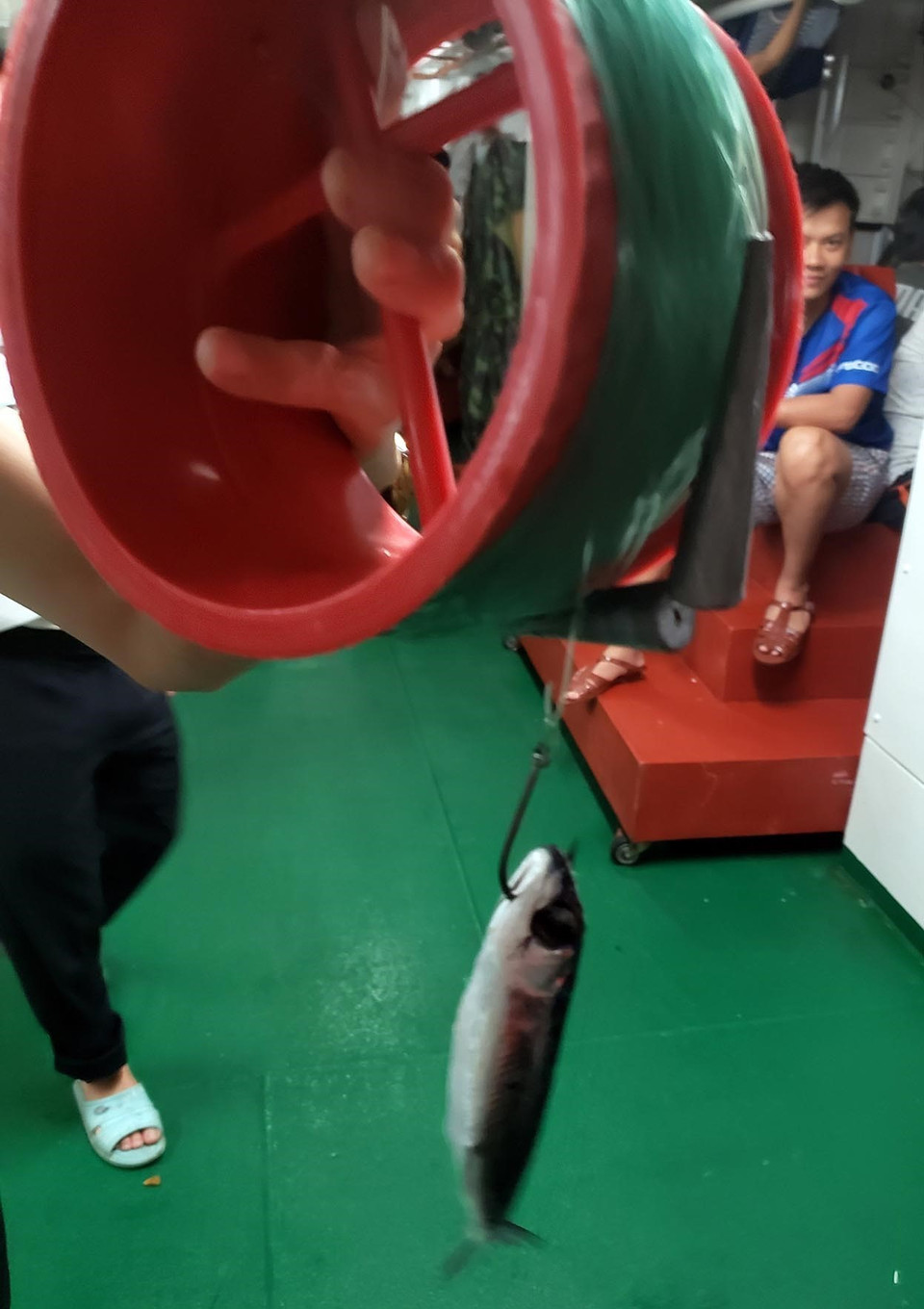 Đồ câu cá biển là một vòng nhựa dùng để cuộn cước (gọi là bát câu) với các thỏi chì nặng được gắn phía trước lưỡi câu, tạo độ nặng cần thiết giúp lưỡi và mồi câu chìm sâu dưới biển. (Ảnh: Hoàng Hùng/TTXVN)