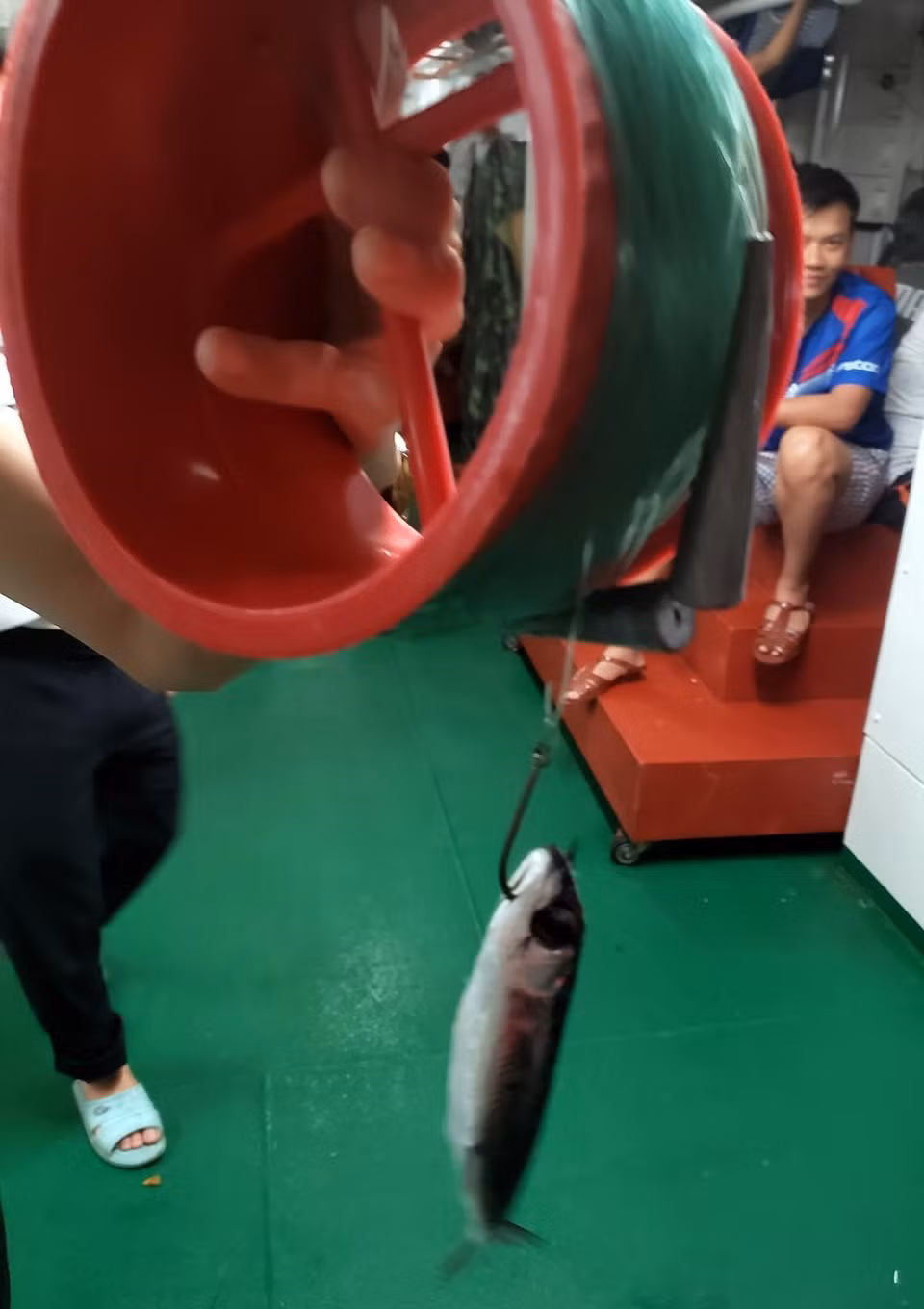 Đồ câu cá biển là một vòng nhựa dùng để cuộn cước (gọi là bát câu) với các thỏi chì nặng được gắn phía trước lưỡi câu, tạo độ nặng cần thiết giúp lưỡi và mồi câu chìm sâu dưới biển. (Ảnh: Hoàng Hùng/TTXVN)