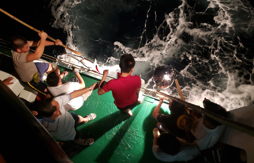 Dùng lao mấu kéo cá lên tàu. (Ảnh: Hoàng Hùng/TTXVN)