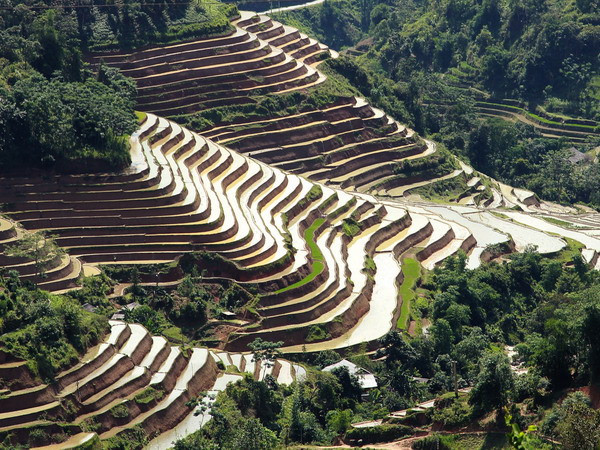Vào mùa đổ nước, những thửa ruộng bậc thang lung linh dưới ánh nắng mặt trời tạo nên một không gian thơ mộng, đầy hấp dẫn. (Ảnh: Đỗ Bình)
