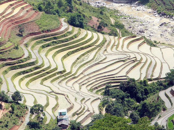 Những thửa ruộng bậc thang lung linh dưới ánh nắng mặt trời. (Ảnh: Đỗ Bình)