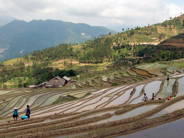 Những ngôi nhà được dựng ngay gần ruộng bậc thang khiến cho vẻ đẹp của vùng cao càng thêm mê hoặc và lôi cuốn. (Ảnh: Đỗ Bình)