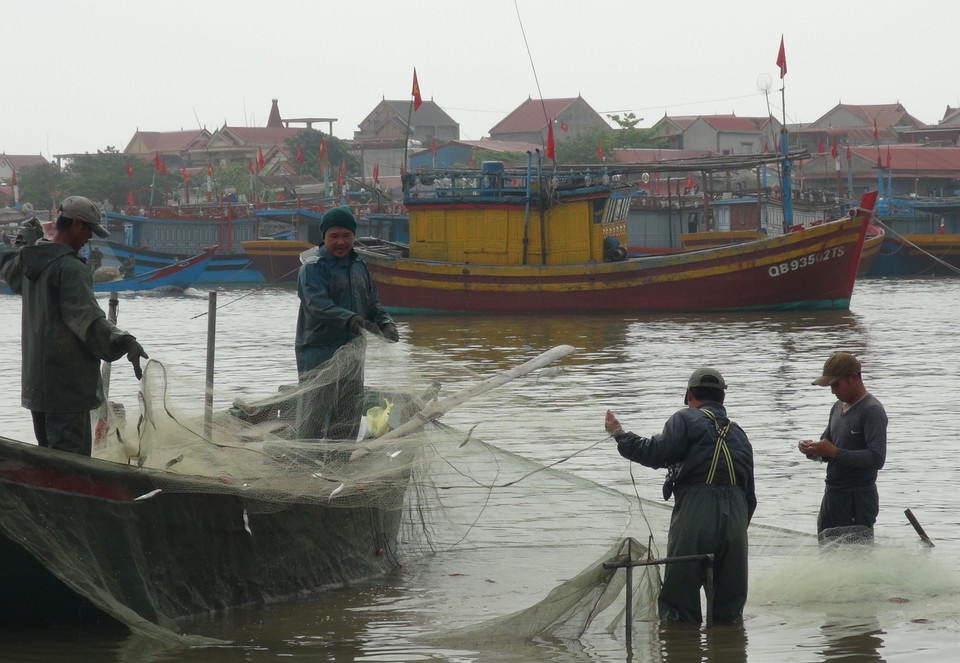 Ngư dân Quảng Bình phấn khới khi cá trích được múa trúng giá. (Ảnh: Đức Thọ/TTXVN)
