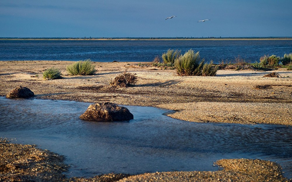 Sáng sớm trên khu bảo tồn. (Nguồn: Sputnik)