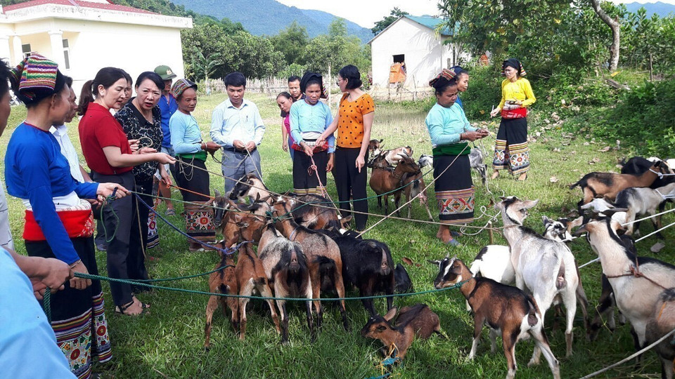 Không có nhiều quốc gia mà hoạt động, biện pháp thực hiện bình đẳng giới được đưa thành chương trình hoạt động cụ thể ở từng tỉnh, thành, địa phương và đạt được nhiều thành tựu như ở Việt Nam. Trong ảnh: Hội Liên hiệp Phụ nữ tỉnh Thanh Hóa trao hỗ trợ dê giống cho các hộ gia đình hội viên, phụ nữ nghèo dân tộc thiểu số, nhằm giúp các hội viên thoát nghèo bền vững (6/2019). (Ảnh: Khiếu Tư/TTXVN)