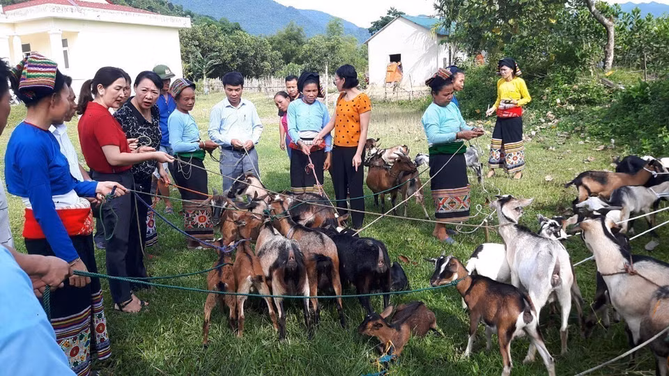 Không có nhiều quốc gia mà hoạt động, biện pháp thực hiện bình đẳng giới được đưa thành chương trình hoạt động cụ thể ở từng tỉnh, thành, địa phương và đạt được nhiều thành tựu như ở Việt Nam. Trong ảnh: Hội Liên hiệp Phụ nữ tỉnh Thanh Hóa trao hỗ trợ dê giống cho các hộ gia đình hội viên, phụ nữ nghèo dân tộc thiểu số, nhằm giúp các hội viên thoát nghèo bền vững (6/2019). (Ảnh: Khiếu Tư/TTXVN)