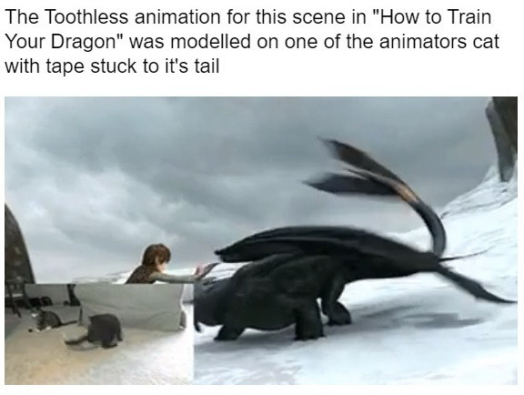 Một phân cảnh động trong 'Bí kíp luyện rồng' được mô phỏng theo chuyển động của một con mèo đang vờn chiếc đuôi bị dán băng dính của mình. (Nguồn: Boredpanda)