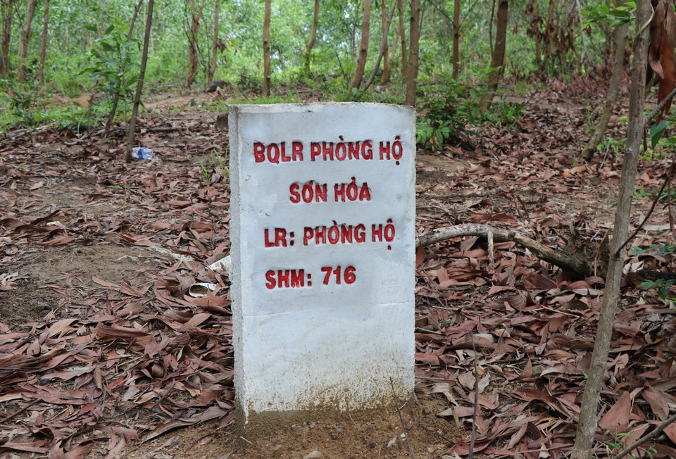 Khu vực rừng phòng hộ Sơn Hòa. (Ảnh: Phạm Cường/TTXVN)