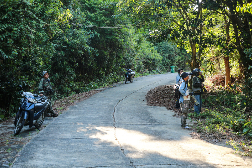Nếu phát hiện có sự nguy hiểm đe dọa đến đàn Voọc, họ sẽ ngay lập tức phản ảnh đến cơ quan chức năng 