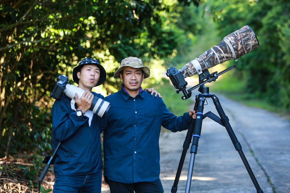 Những vệ sỹ đặc biệt cho những nữ hoàng linh trưởng tại Sơn Trà