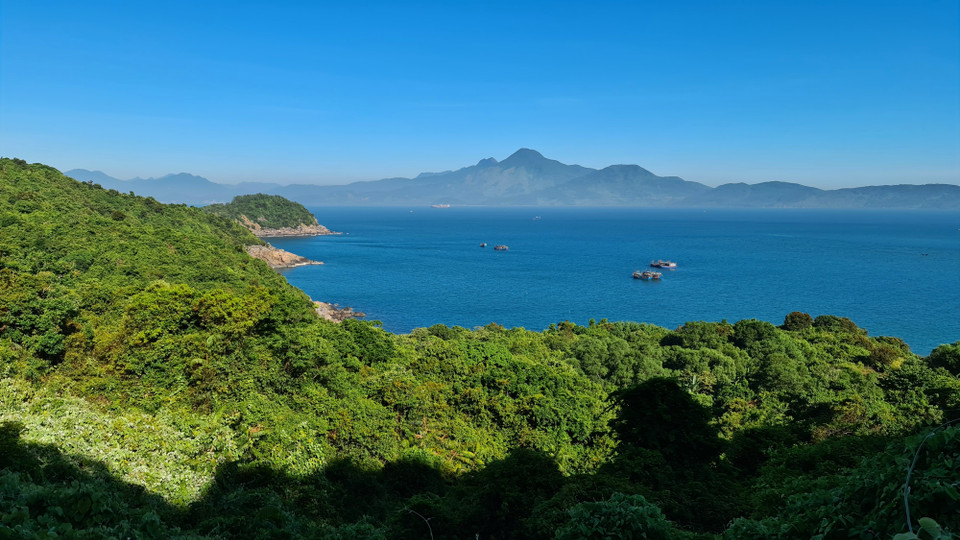 Dưới những tán cây là nơi sinh sống của bầy Voọc