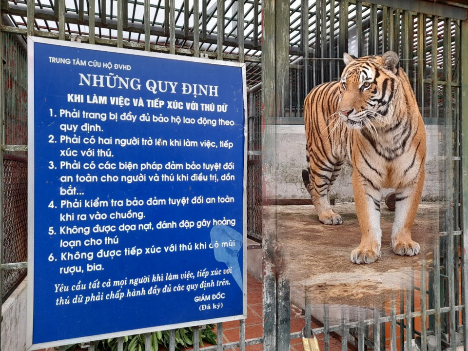 Nội quy khi tiếp xúc với hổ, cũng như các loài thú dữ khác tại Trung tâm. (Ảnh: Hùng Võ/Vietnam+)