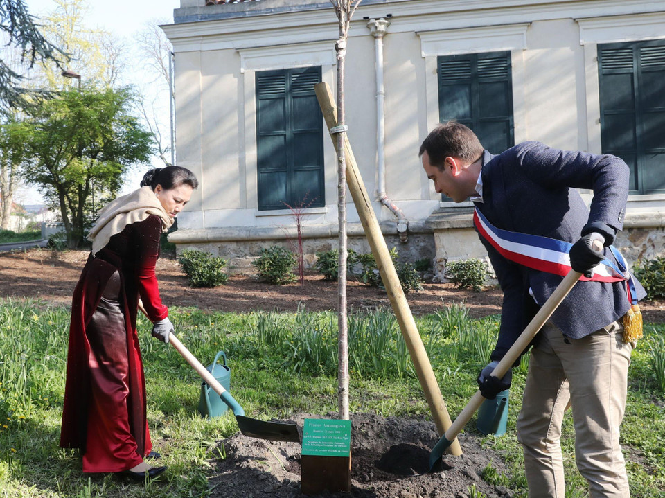 Chủ tịch Quốc hội Nguyễn Thị Kim Ngân trồng cây lưu niệm tại khu tượng đài Chủ tịch Hồ Chí Minh. (Ảnh: Trọng Đức/TTXVN)