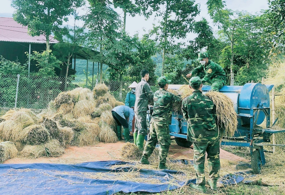 Lực lượng bộ đội biên phòng Đồn biên phòng Mường Mươn giúp dân vận chuyển lúa về bản và tuốt lúa. (Ảnh: TTXVN phát)