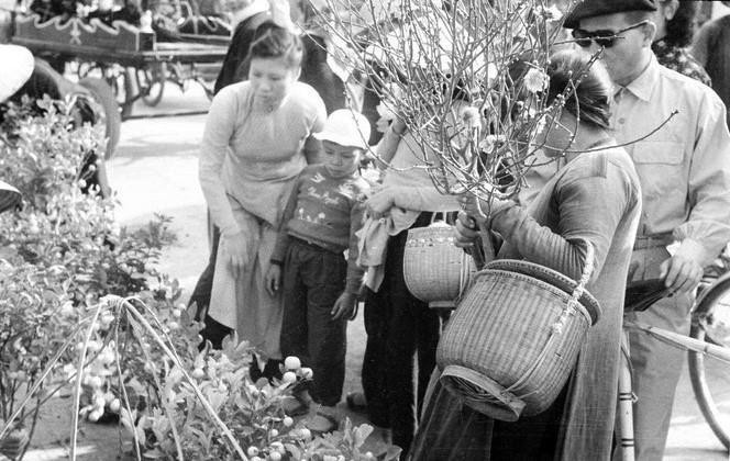 Chợ Đồng Xuân những ngày Tết đến. (Ảnh: TTXVN)