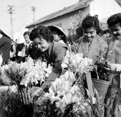 Thiếu nữ Hà Nội đi chợ hoa trong những ngày giáp Tết Nguyên đán. (Ảnh: TTXVN)