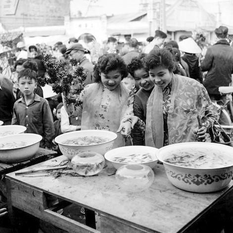 Chợ hoa còn có khu vực bán cá vàng để phục vụ người dân trong dịp Tết. (Ảnh: TTXVN)