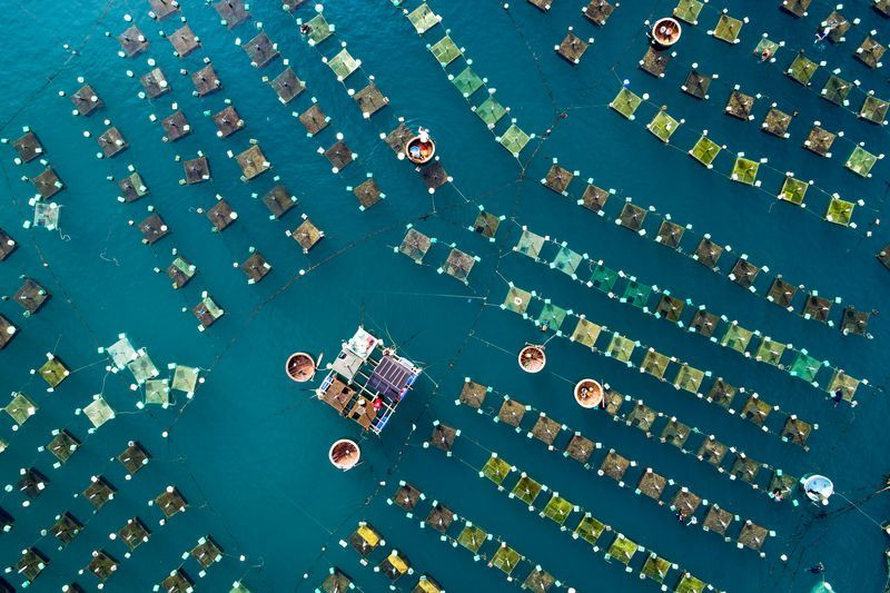 Lồng bè nuôi tôm hùm ở tỉnh Phú Yên nhìn từ trên cao. (Nguồn: NatGeo) 