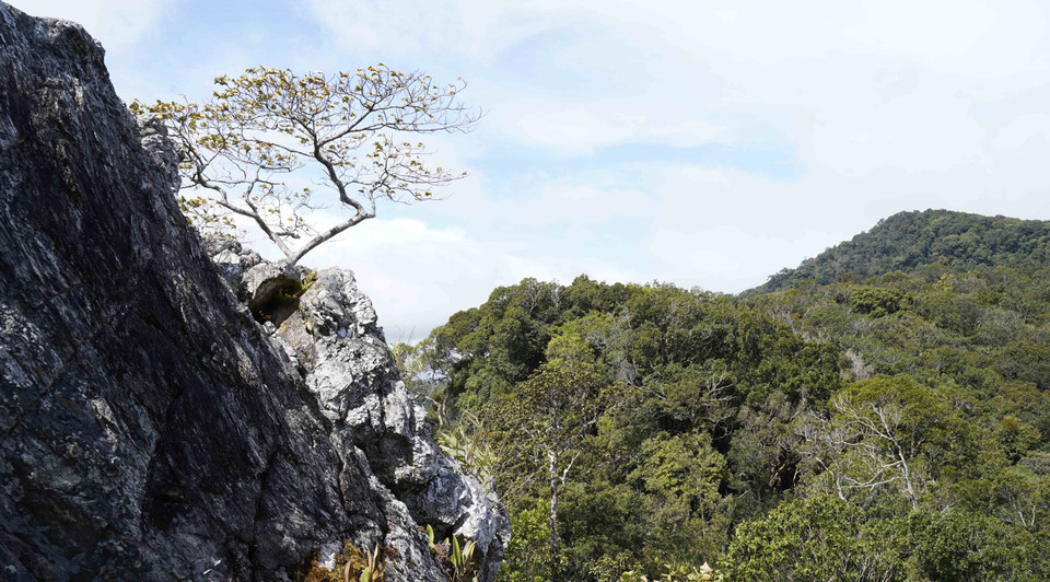 Cảnh đẹp như tranh vẽ tại Khu Dự trữ Sinh quyển Cao nguyên Kon Hà Nừng là điểm đến hấp dẫn đối với du khách muốn trải nghiệm thiên nhiên hoang dã. (Ảnh: Hồng Điệp/TTXVN)