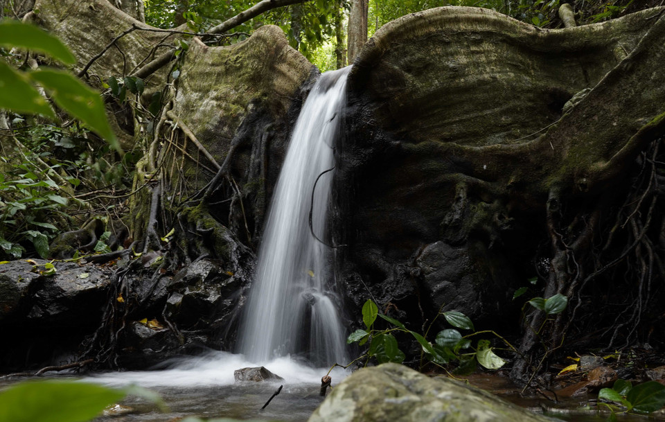 Cảnh đẹp như tranh tại Khu Dự trữ Sinh quyển Cao nguyên Kon Hà Nừng là điểm đến hấp dẫn đối với du khách muốn trải nghiệm thiên nhiên hoang dã. (Ảnh: Hồng Điệp/TTXVN)
