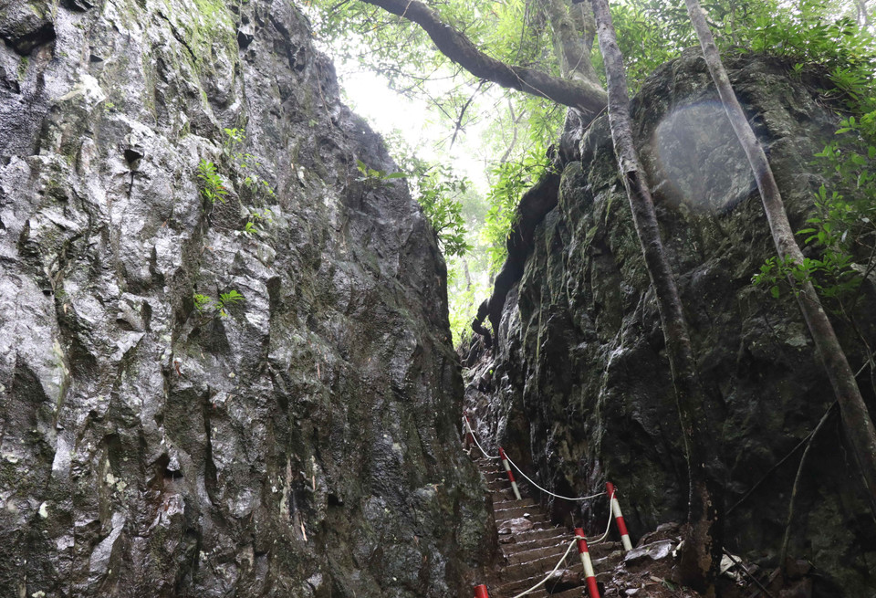 Những khu rừng nguyên sinh tại Khu Bảo tồn Thiên nhiên Kon Chư Răng(một trong hai vùng lõi của Khu Dự trữ Sinh quyển Thế giới Cao Nguyên Kon Hà Nừng) được bảo vệ nghiêm ngặt. (Ảnh: Hồng Điệp/TTXVN)