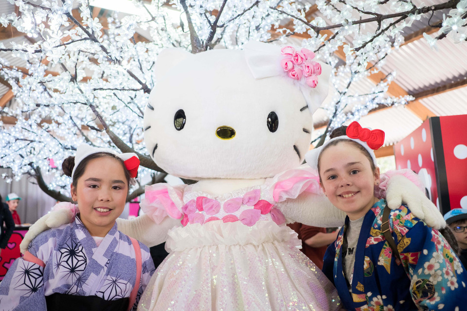 Lễ hội hoa anh đào Sydney 2019 thu hút hàng trăm nghìn khách thăm quan du lịch đến thưởng thức. (Ảnh: Nguyễn Minh/Vietnam+)