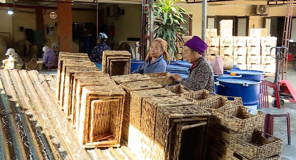 Người thợ thủ công làm ra các sản phẩm từ cói ở huyện Kim Sơn, tỉnh Ninh Bình. (Ảnh: Thùy Dung/TTXVN)