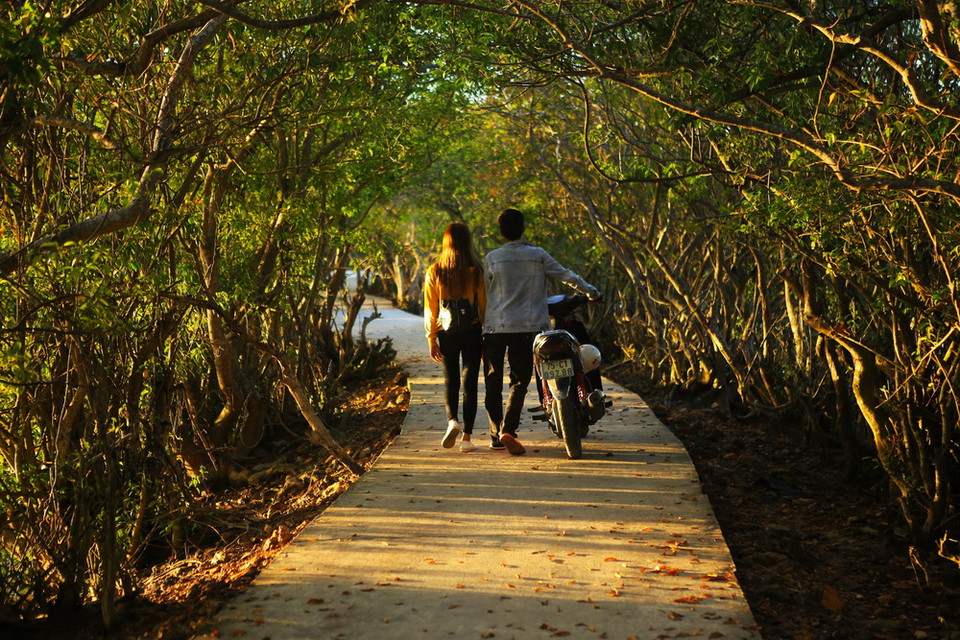 Rừng có diện tích hơn 5ha, hiện là điểm dừng chân lý tưởng cho du khách mỗi khi đến đây. (Ảnh: Hồ Cầu/TTXVN)