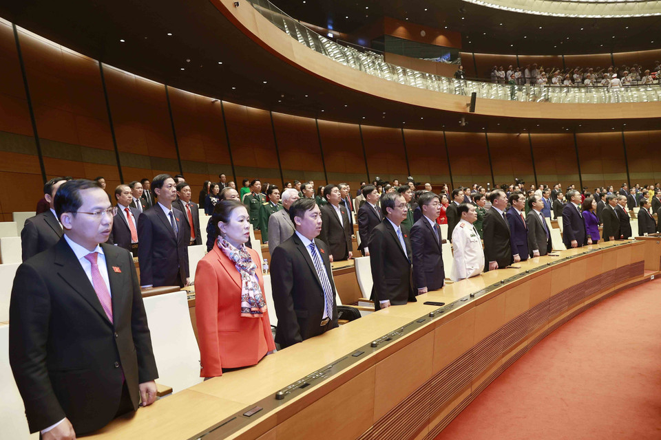 Đại biểu thực hiện nghi lễ chào cờ. (Ảnh: Doãn Tấn/TTXVN)