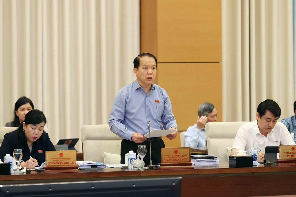 Chủ nhiệm Ủy ban Pháp luật của Quốc hội Hoàng Thanh Tùng trình bày tóm tắt báo cáo thẩm tra. (Ảnh: An Đăng/TTXVN)