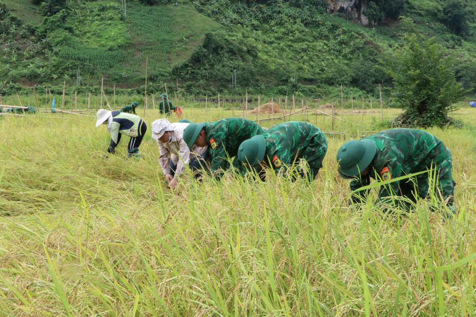 Những việc làm thiết thực kiến tình quân dân nơi biên giới càng bền chặt. (Ảnh: Nguyễn Oanh/TTXVN)