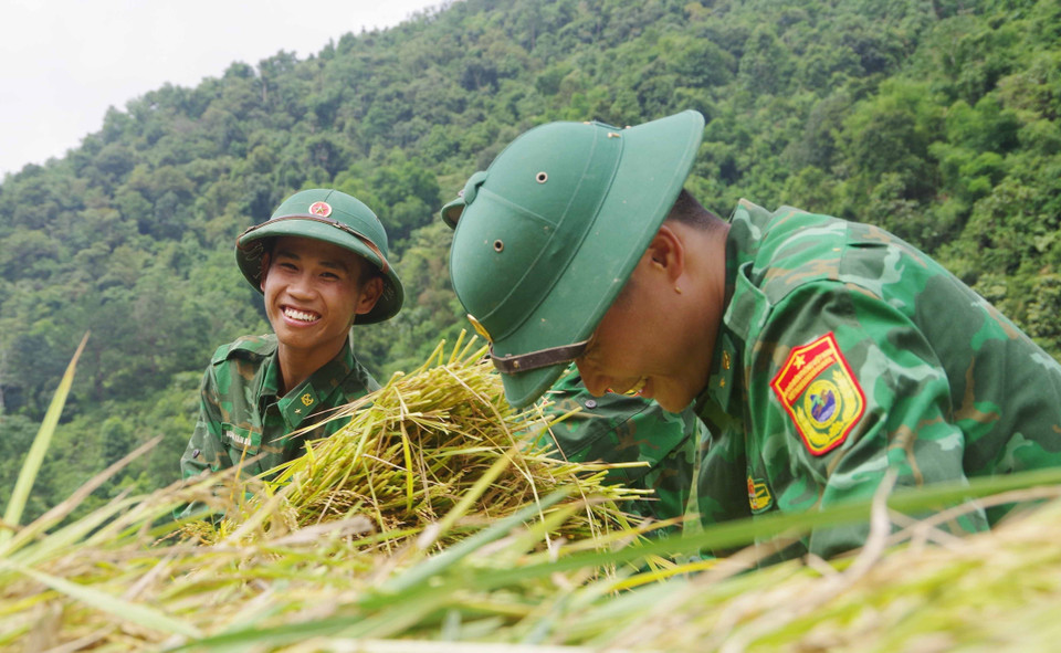 Dù công việc vất vả nhưng các chiến sỹ bộ đội biên phòng vẫn rất vui vẻ khi giúp dân. (Ảnh: Nguyễn Oanh/TTXVN)