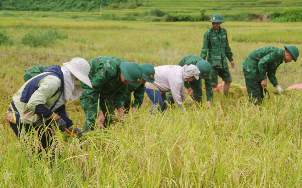 Tình quân dân như cá với nước tại các xã biên giới tỉnh Lai Châu. (Ảnh: Nguyễn Oanh/TTXVN)
