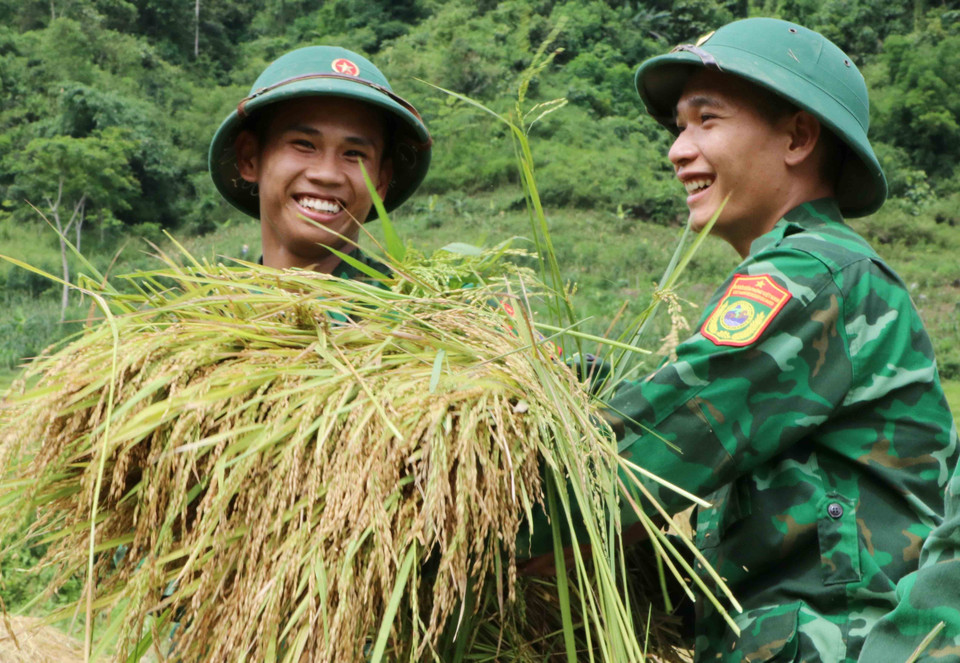 Các chiến sỹ mới rất vui vẻ khi được giúp đỡ người dân gặt lúa cho kịp vụ mùa. (Ảnh: Nguyễn Oanh/TTXVN)