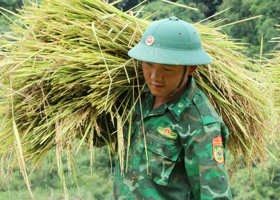Dù công việc vất vả nhưng các chiến sỹ bộ đội biên phòng vẫn rất vui vẻ khi giúp dân. (Ảnh: Nguyễn Oanh/TTXVN)